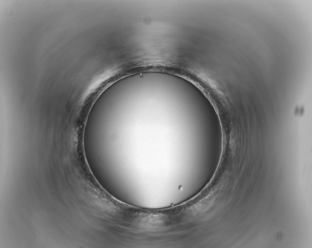 X0000094221309200711021130