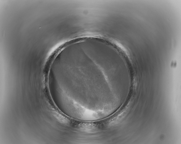 X0000094221310200711021130