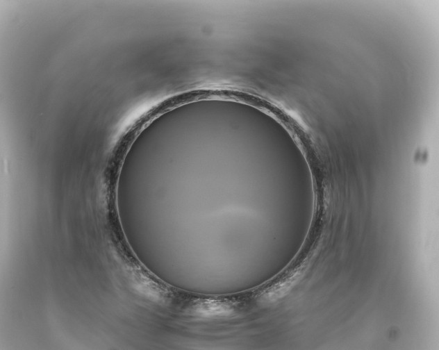 X0000094221311200711021130