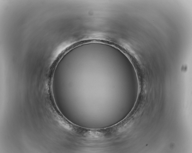 X0000094221312200711021130