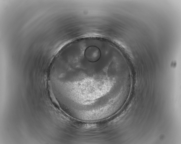 X0000094221313200711021130