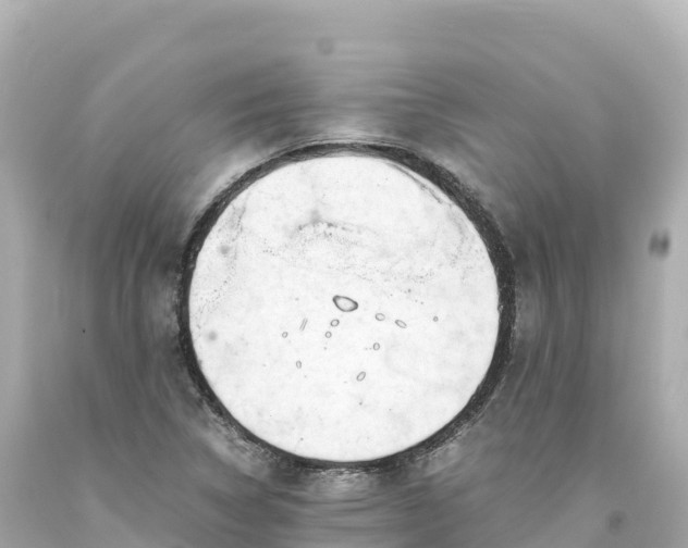 X0000094221314200711021130