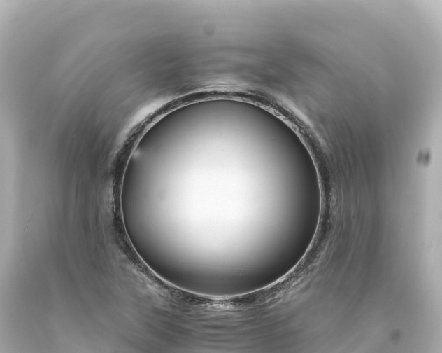 X0000094221315200711021130