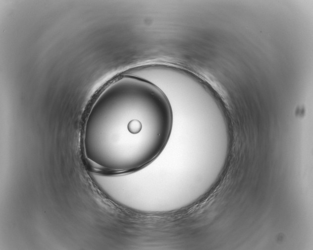 X0000094221316200711021130