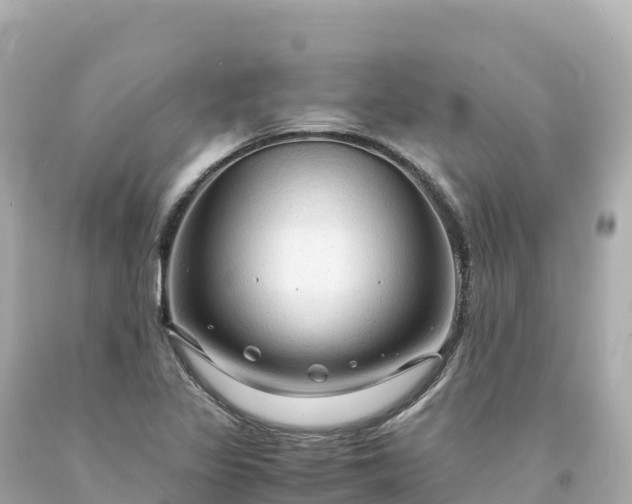 X0000094221317200711021130