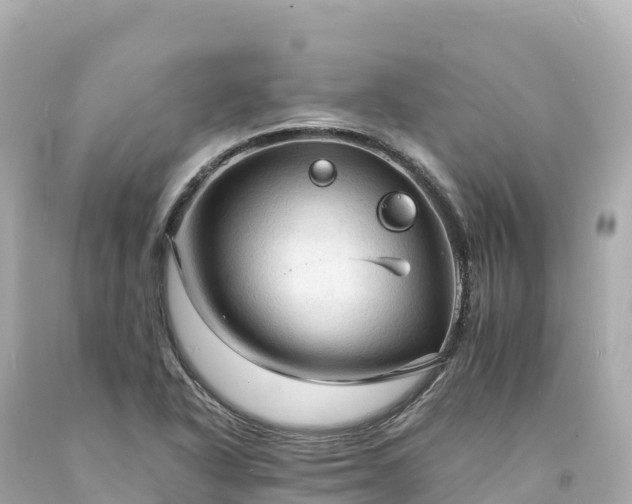 X0000094221318200711021130