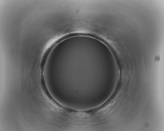 X0000094221319200711021130