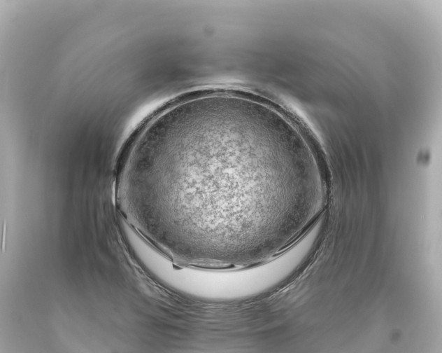 X0000094221320200711021130