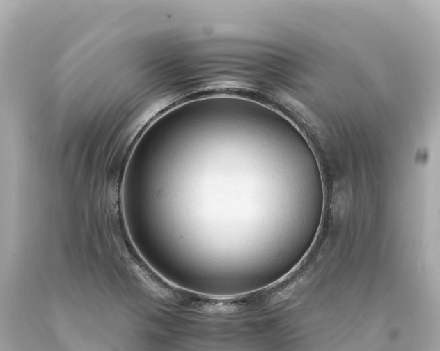 X0000094221321200711021130