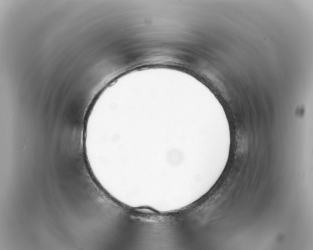 X0000094221322200711021130