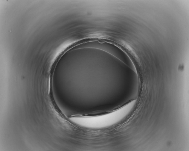 X0000094221323200711021130