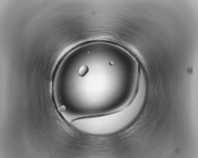 X0000094221324200711021130