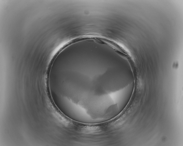 X0000094221325200711021130