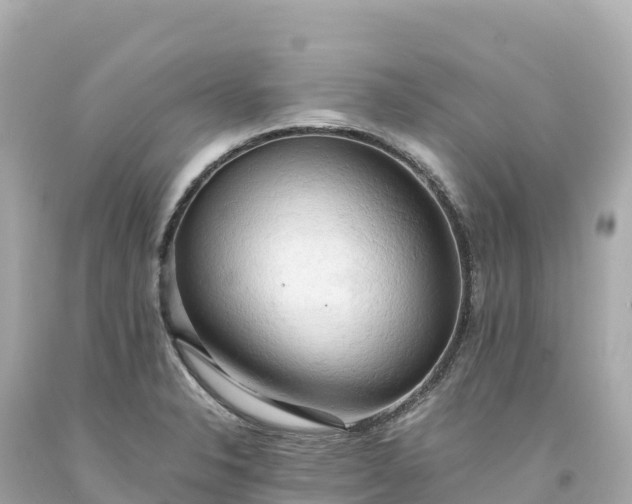 X0000094221326200711021130