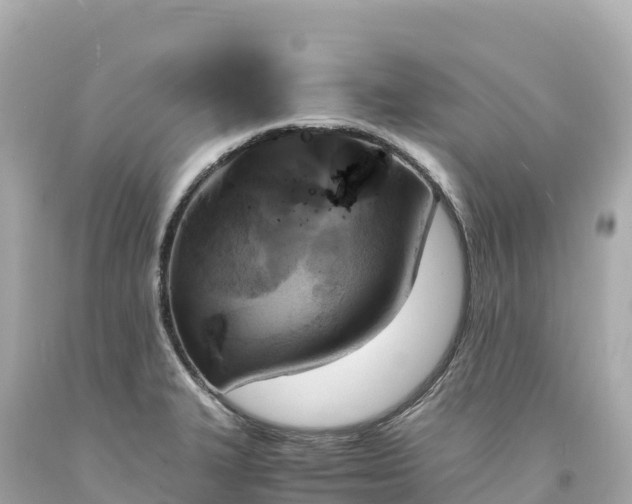 X0000094221327200711021130