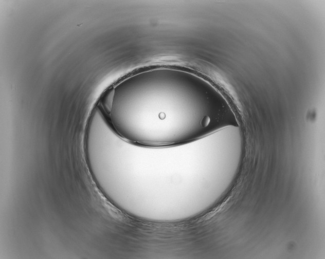 X0000094221328200711021130