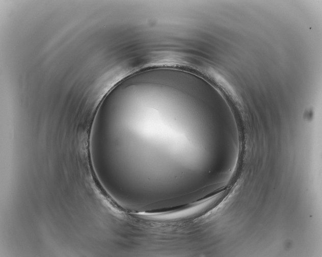 X0000094221329200711021130