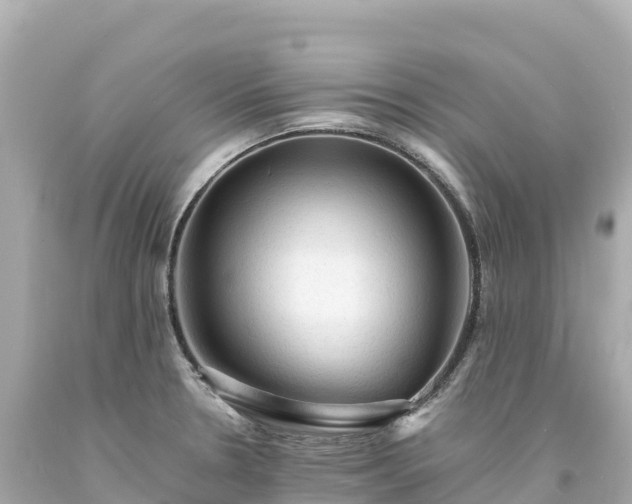 X0000094221330200711021131