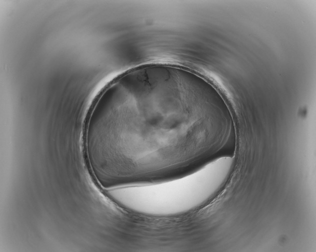 X0000094221331200711021131