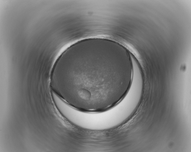 X0000094221332200711021131