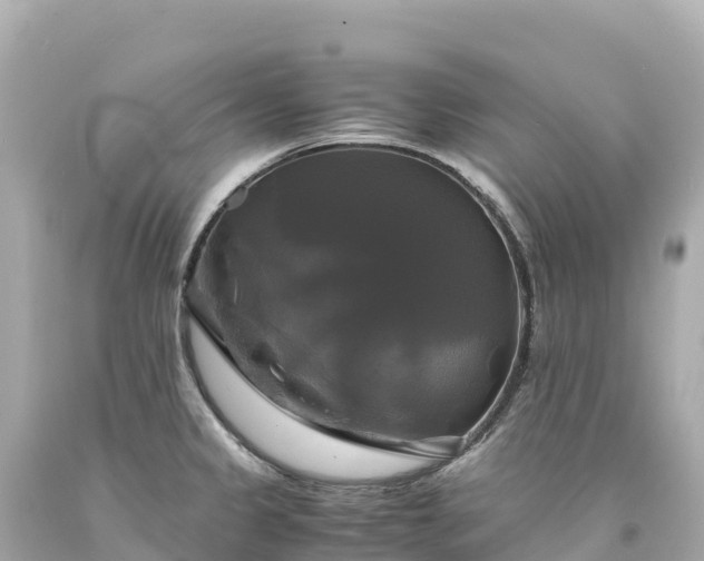 X0000094221333200711021131