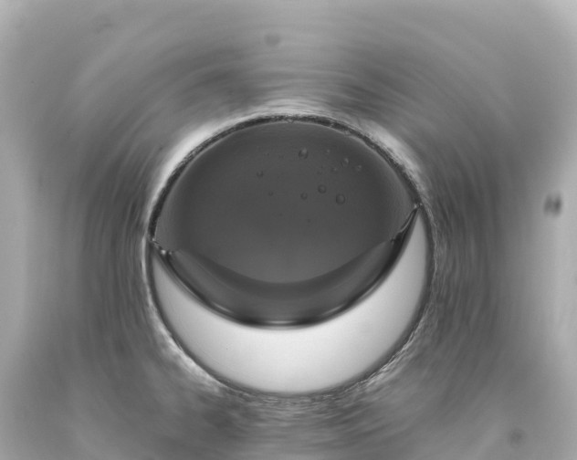 X0000094221334200711021131