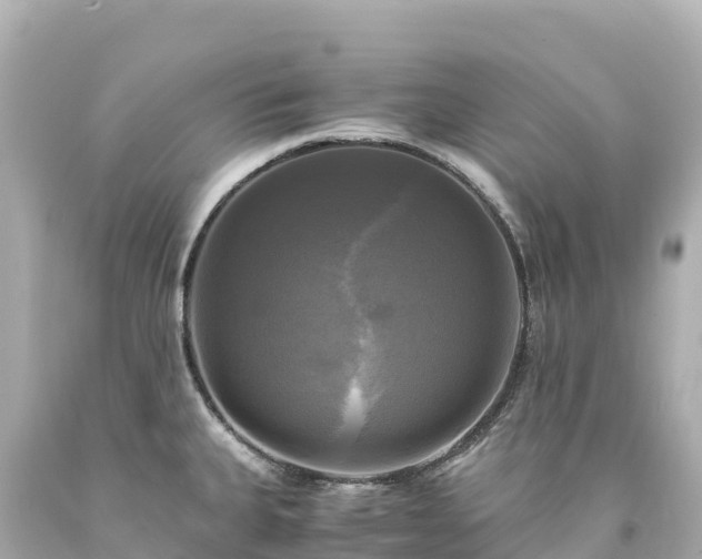 X0000094221335200711021131