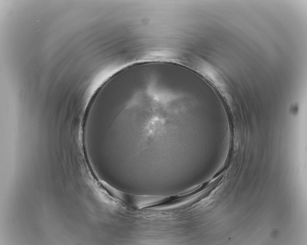 X0000094221336200711021131