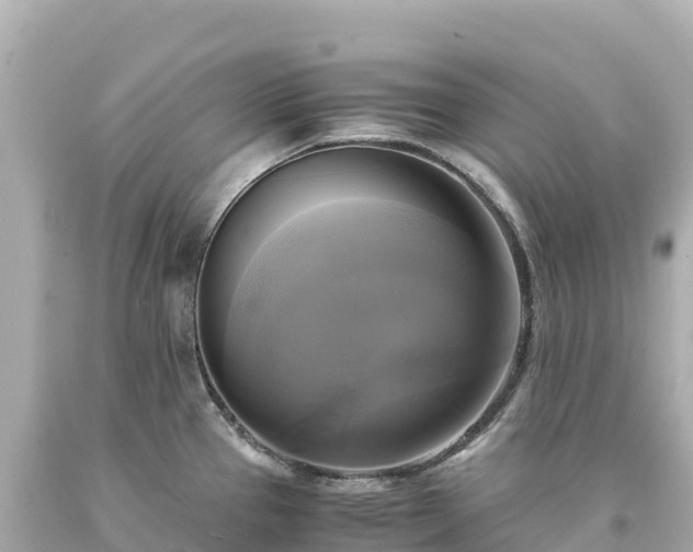 X0000094221337200711021131