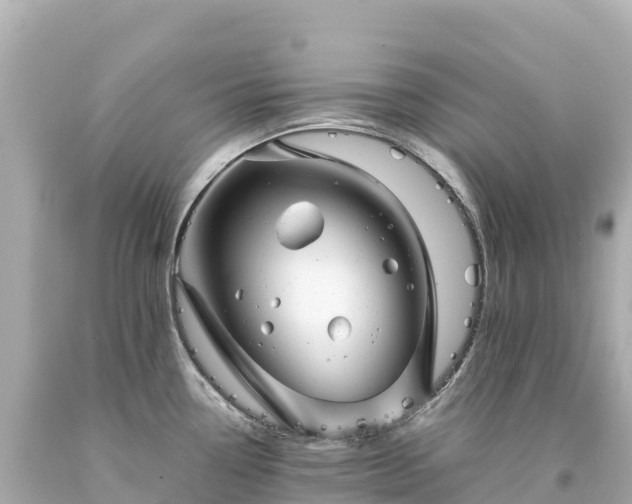 X0000094221338200711021131