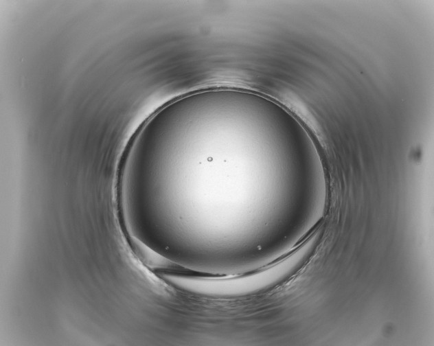 X0000094221339200711021131