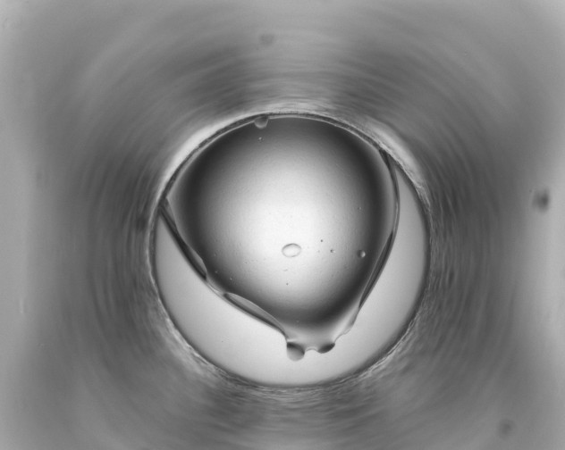 X0000094221340200711021131