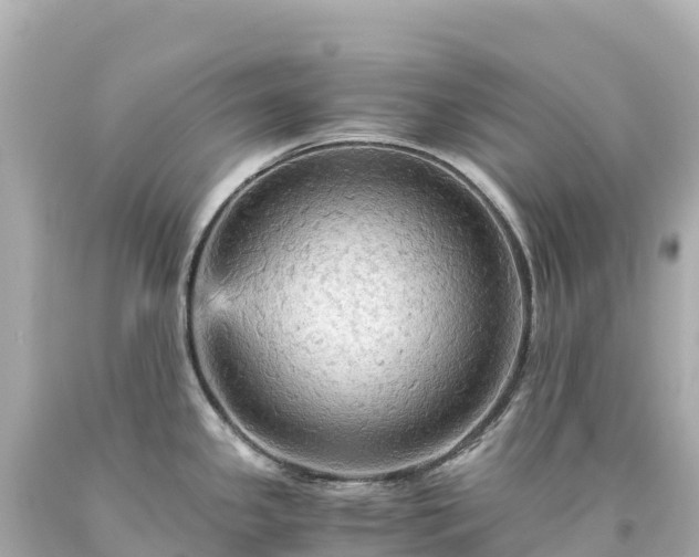 X0000094221341200711021131