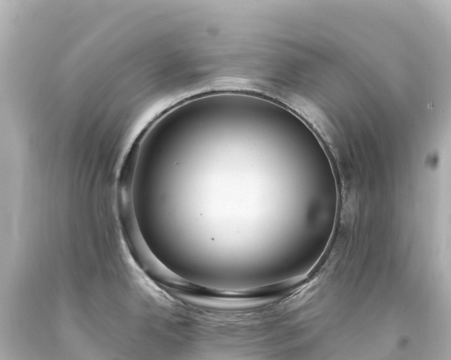 X0000094221342200711021131