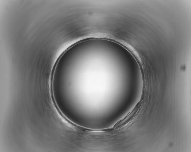 X0000094221343200711021131