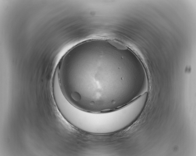 X0000094221344200711021131