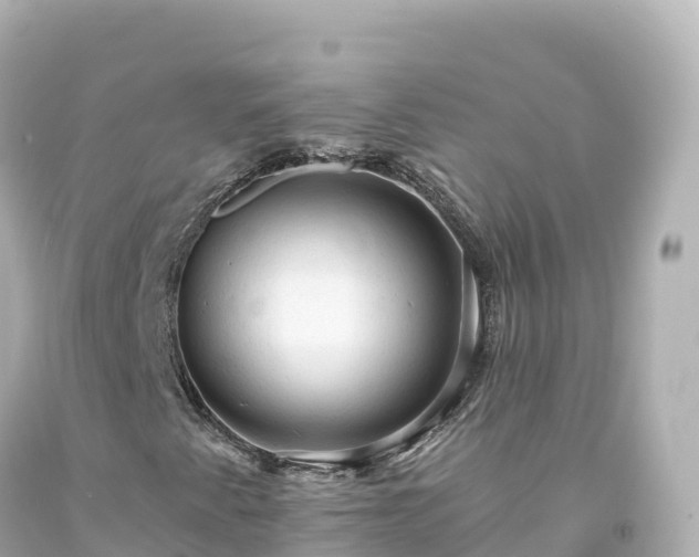 X0000094221345200711021130