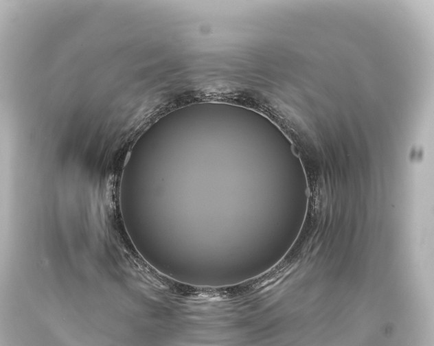 X0000094221346200711021130