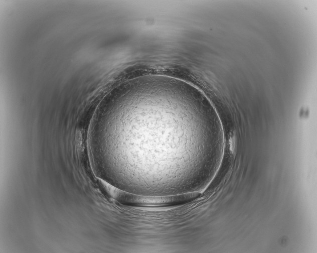 X0000094221347200711021130