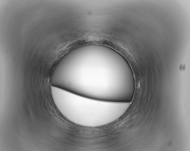 X0000094221348200711021130