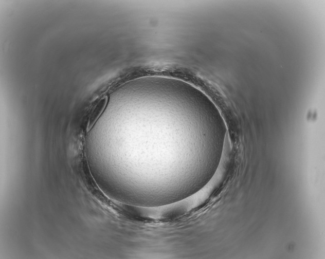 X0000094221349200711021130