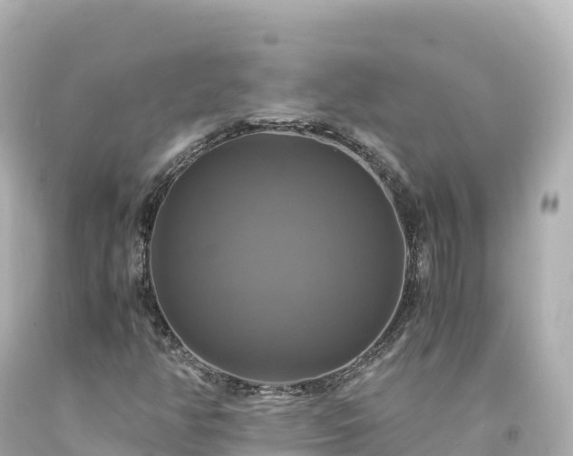 X0000094221350200711021130