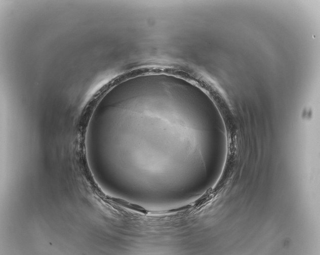 X0000094221352200711021130