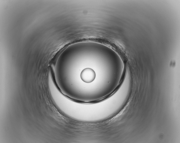 X0000094221353200711021130