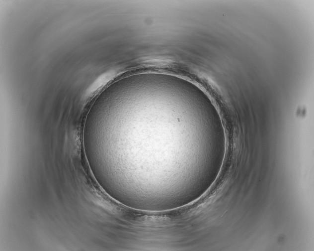 X0000094221354200711021130