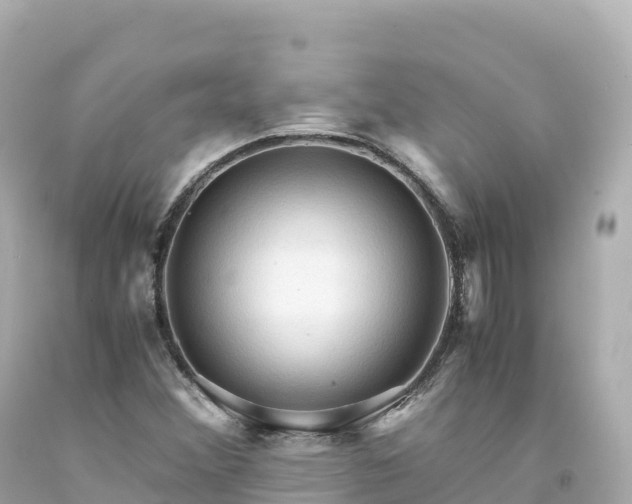 X0000094221356200711021130