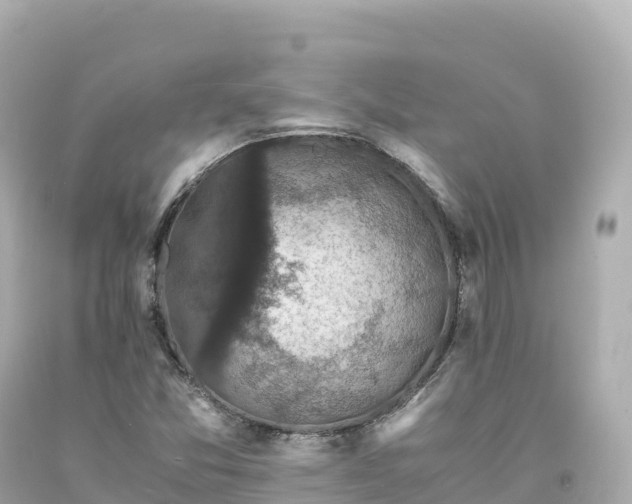 X0000094221357200711021130