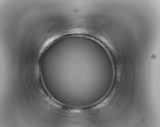 X0000094221358200711021130