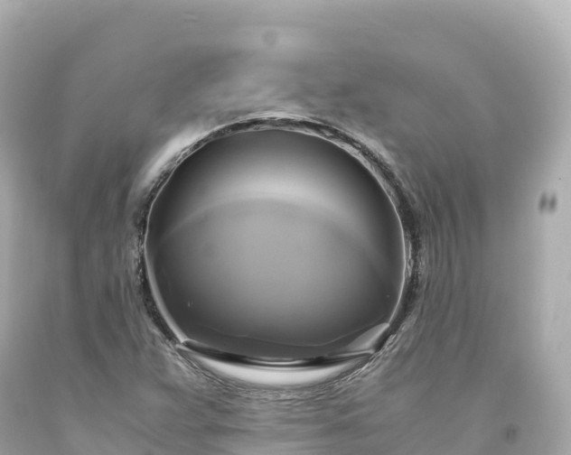 X0000094221359200711021130