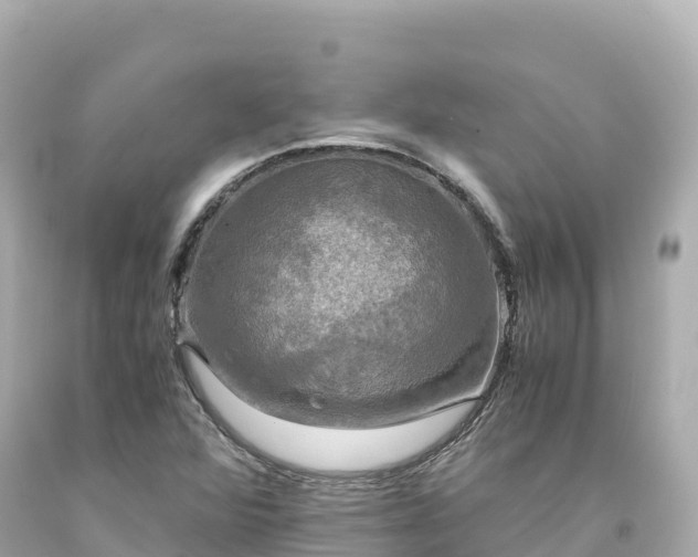 X0000094221360200711021130